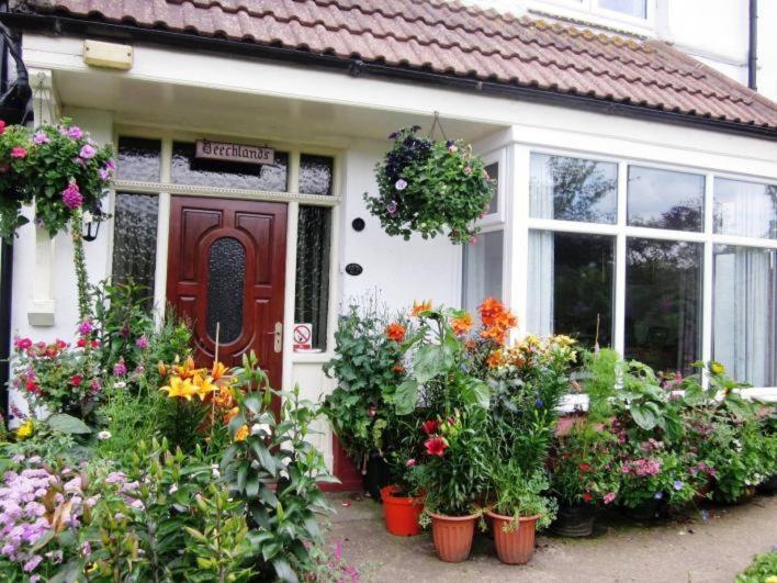 Beechlands B & B Sleights Eksteriør bilde