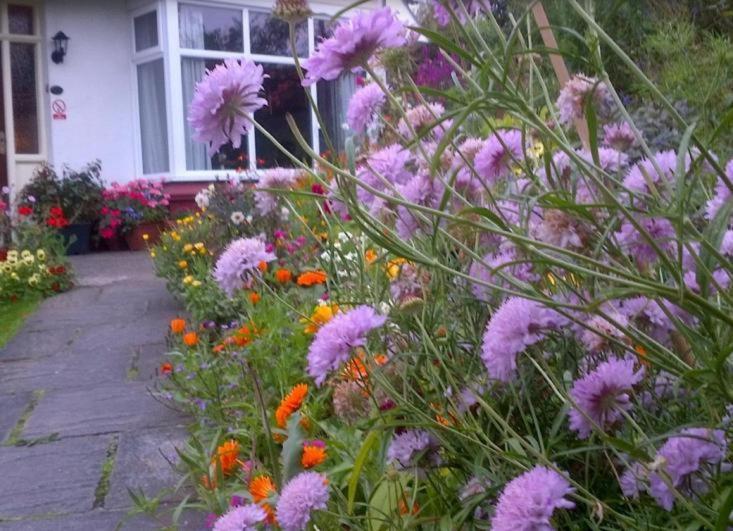 Beechlands B & B Sleights Eksteriør bilde